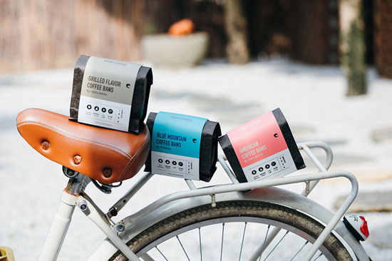 Stylish lifestyle photography setup