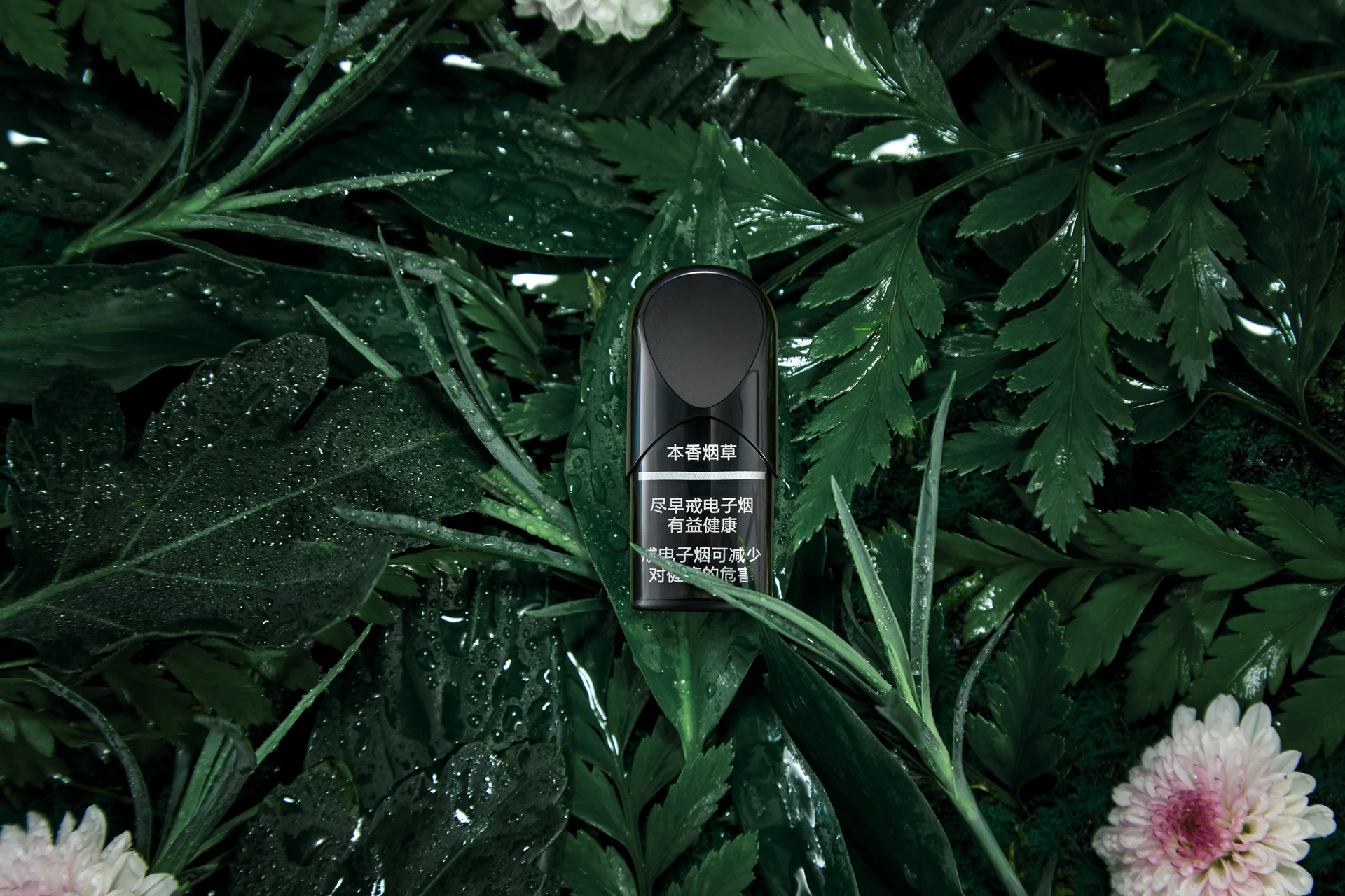 博迪 bpod 电子雾化器产品与场景摄影