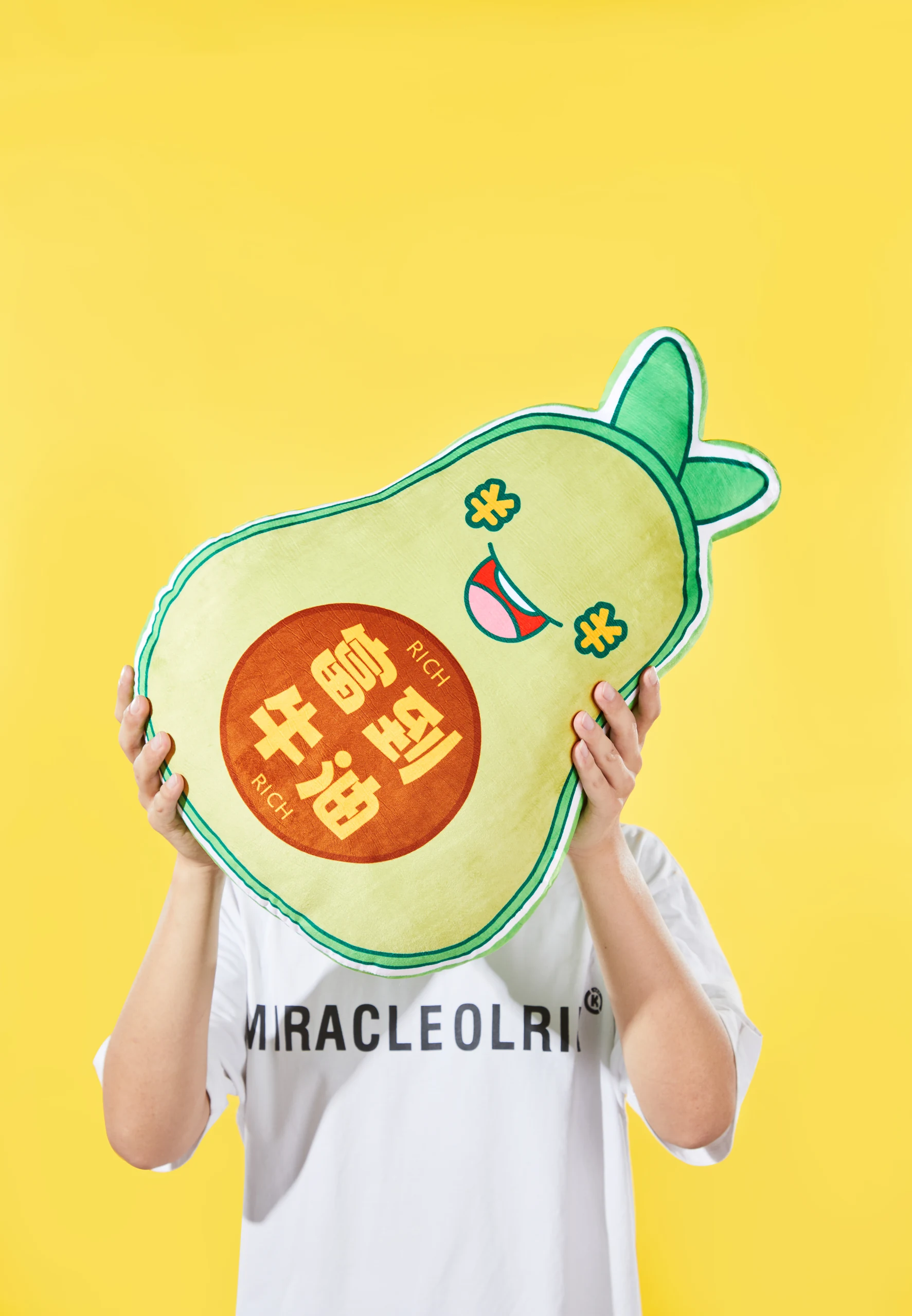 趣味造型抱枕彩色摄影