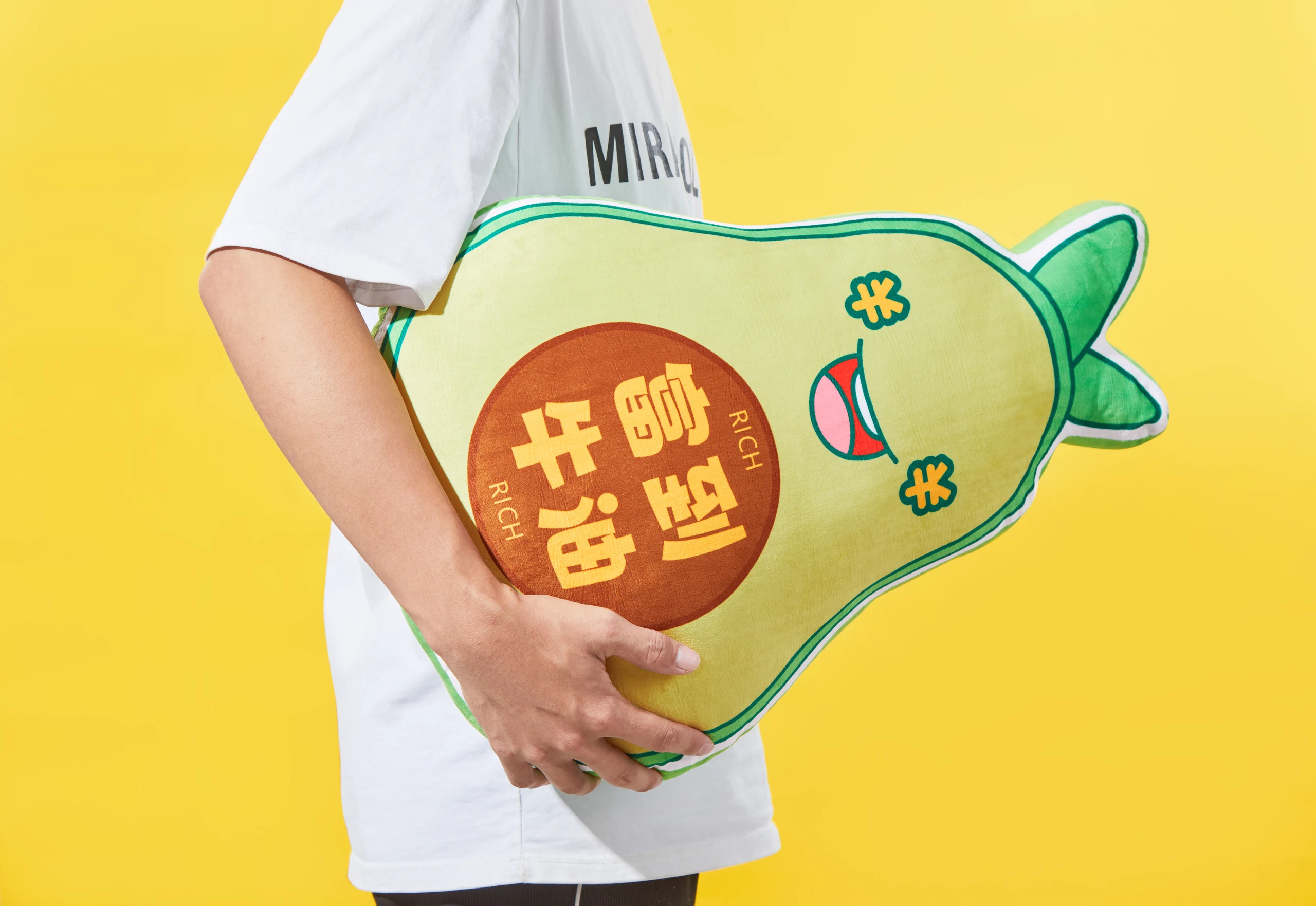 趣味造型抱枕彩色摄影